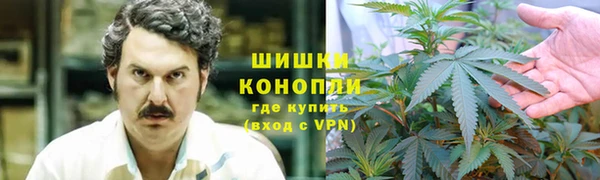 mdpv Волоколамск