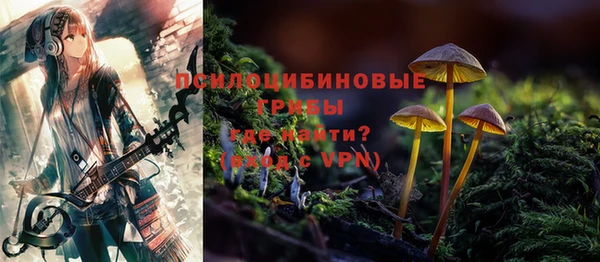 mdpv Волоколамск