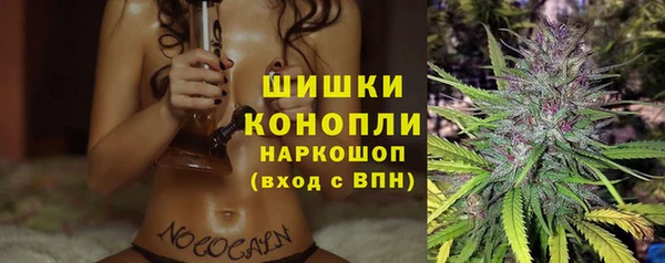 mdpv Волоколамск