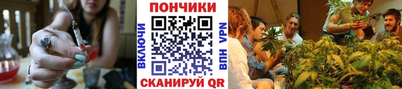 Бошки марихуана индика  Купить закладки  Лениногорск 
